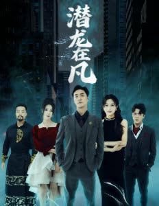 潜龙在凡封面