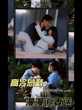 高冷男神漫漫追妻途封面