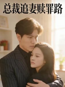 总裁追妻赎罪路封面