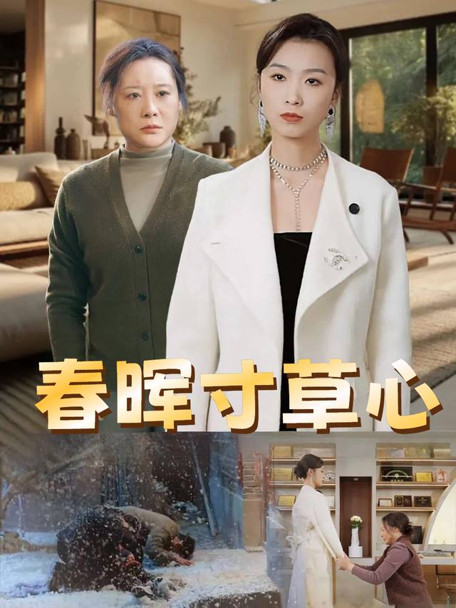 春晖寸草心封面