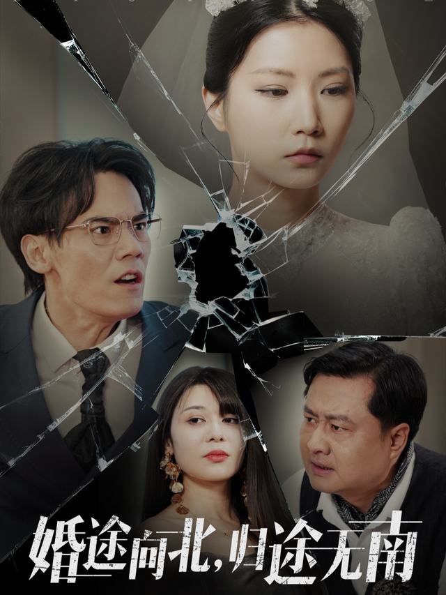 婚途向北,归途无南封面