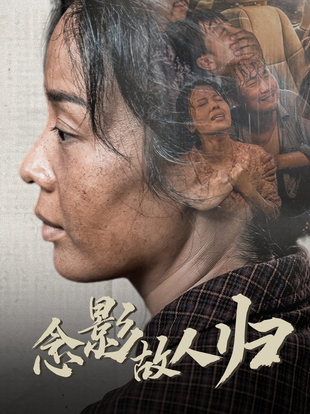 念影故人归封面