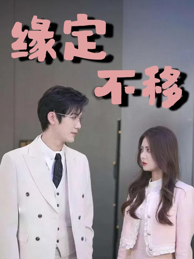 缘定不移封面