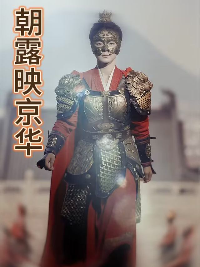 朝露映京华封面