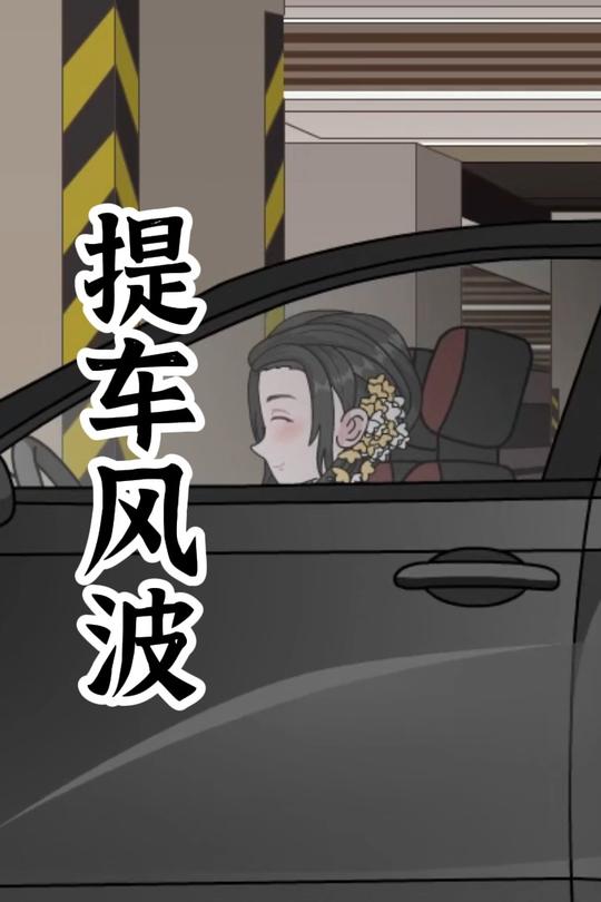 提车风波封面