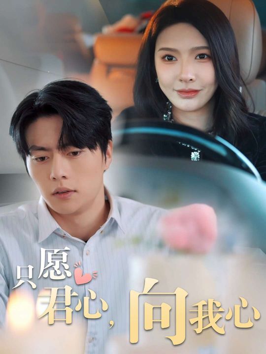 但愿君心向我心封面