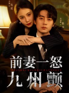 前妻一怒九州颤封面