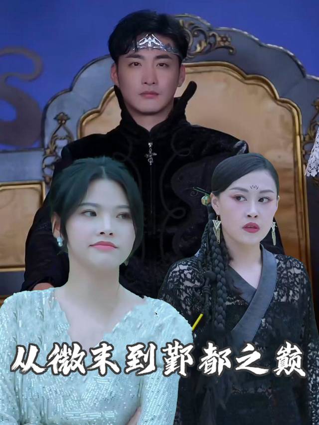 从微末到鄞都之巅封面
