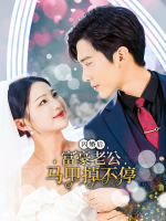 闪婚后，富豪老公马甲掉不停封面