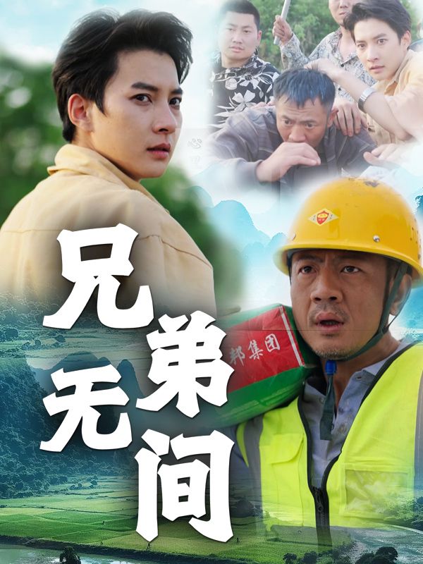 兄弟无间封面