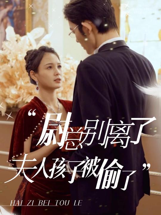 尉总别离了,夫人孩子被偷了封面