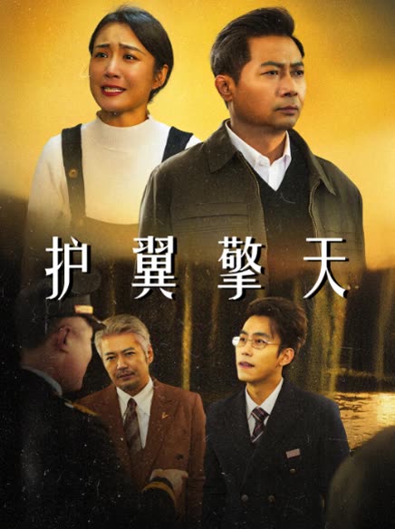 护翼擎天封面