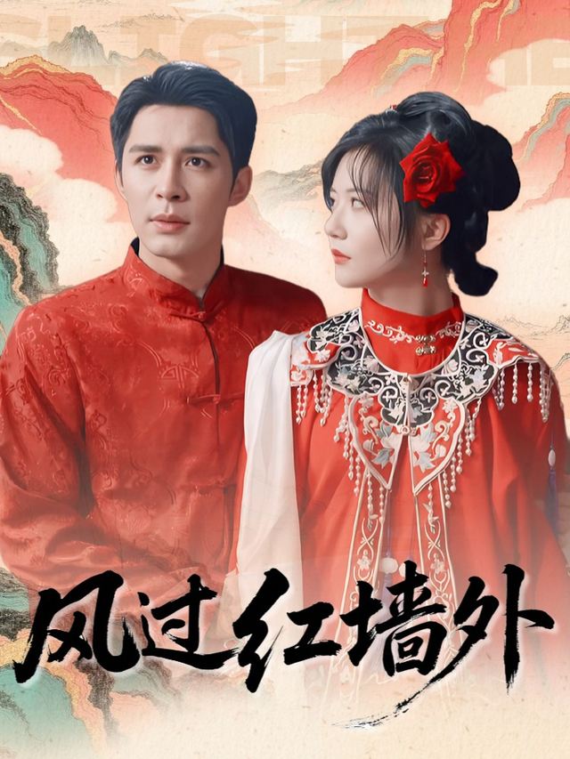 风过红墙外封面