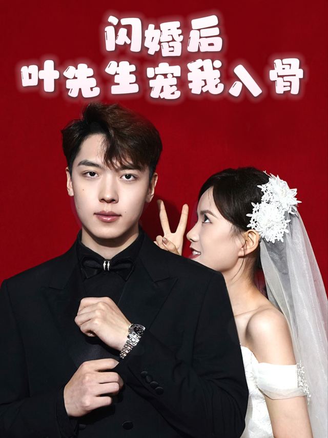 闪婚后,叶先生宠我入骨封面