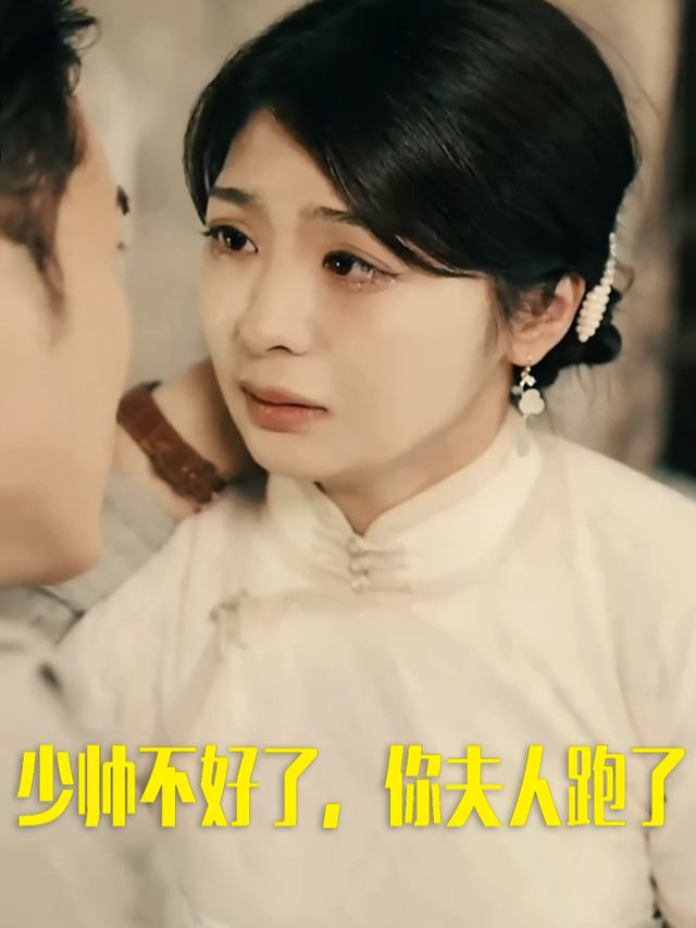 少帅不好了,你夫人跑了封面