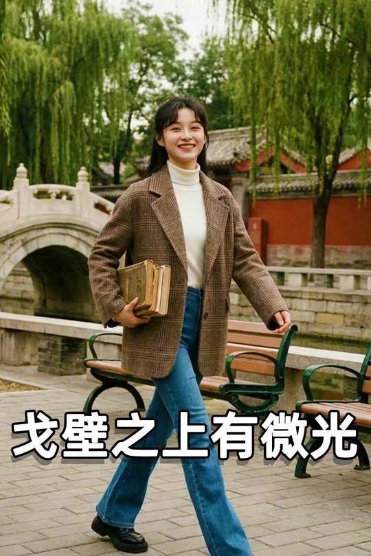 戈壁之上有微光封面