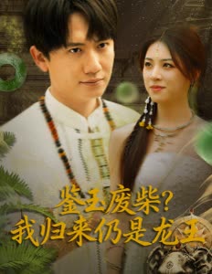 鉴玉废柴?我归来仍是龙王封面