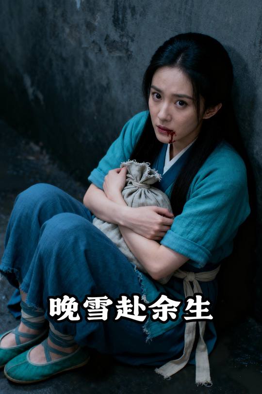 晚雪赴余生封面