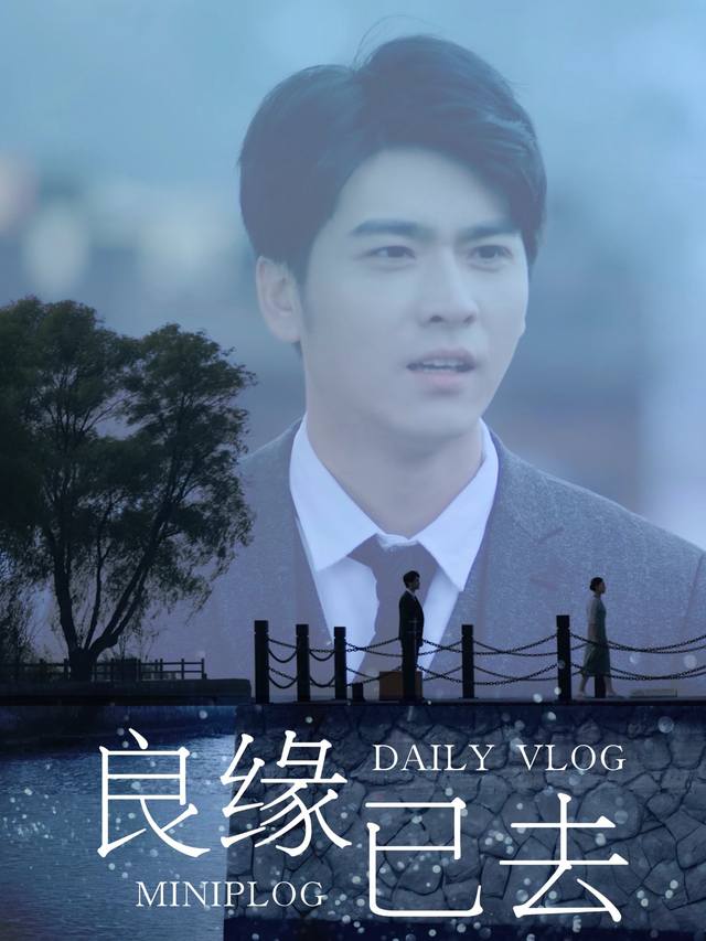 良缘已去封面