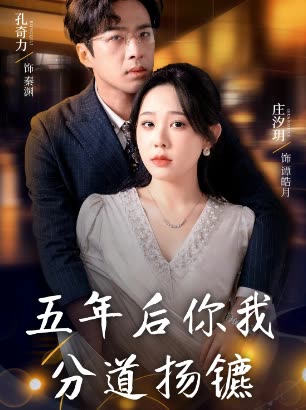 五年后你我分道扬镳封面