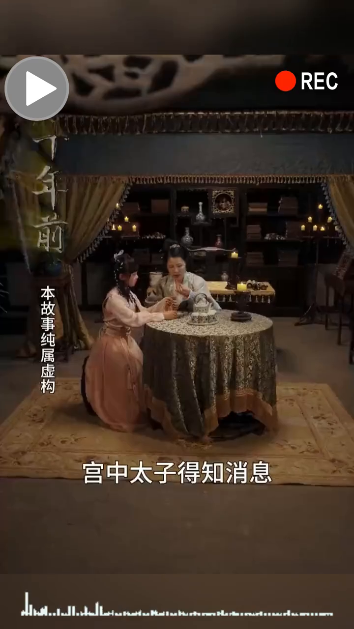 贵妃疑影封面