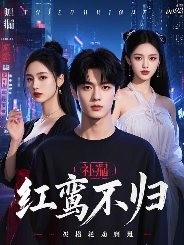 红鸾不归封面