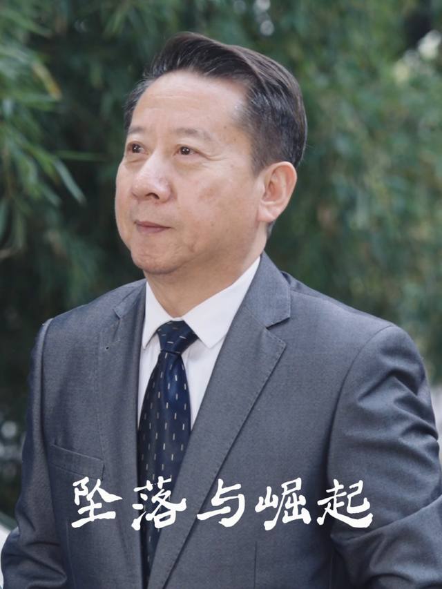 坠落与崛起封面