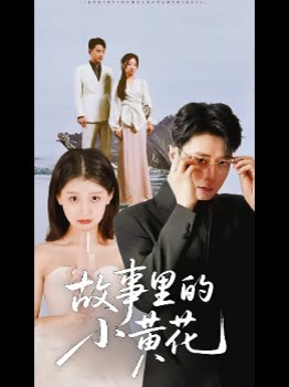 故事里的小黄花封面