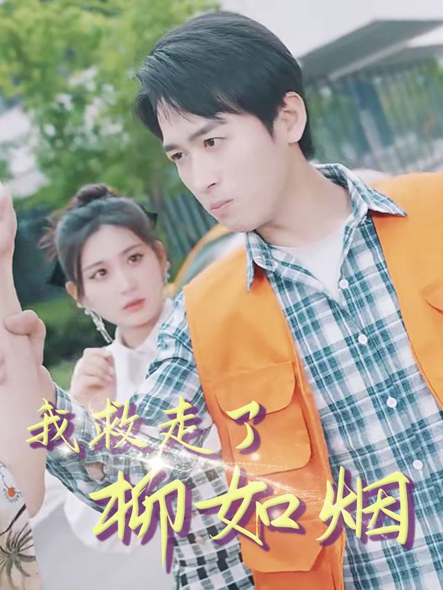 我救走了柳如烟封面