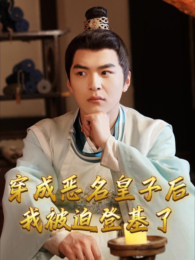 穿成恶名皇子后我被迫登基了封面