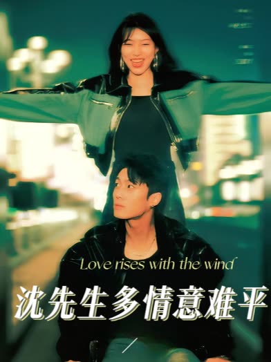 沈先生多情意难平封面