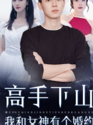 高手下山我和女神有个婚约封面