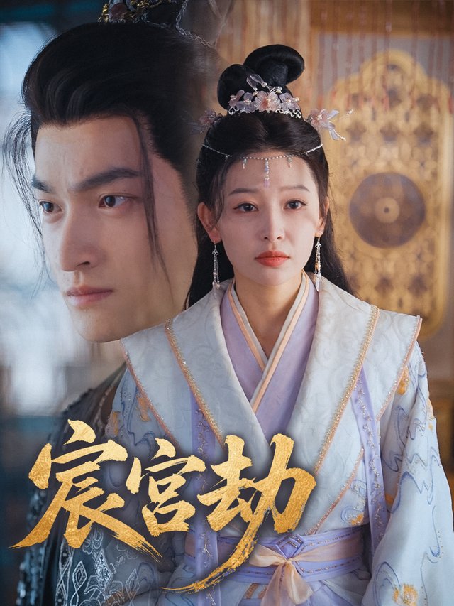 宸宫劫封面