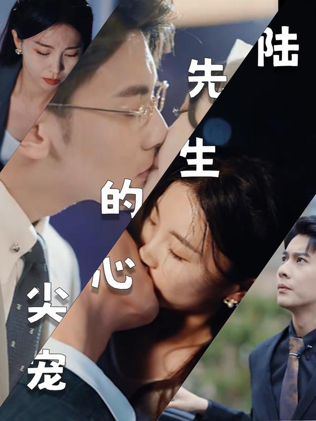 陆先生的心尖宠封面