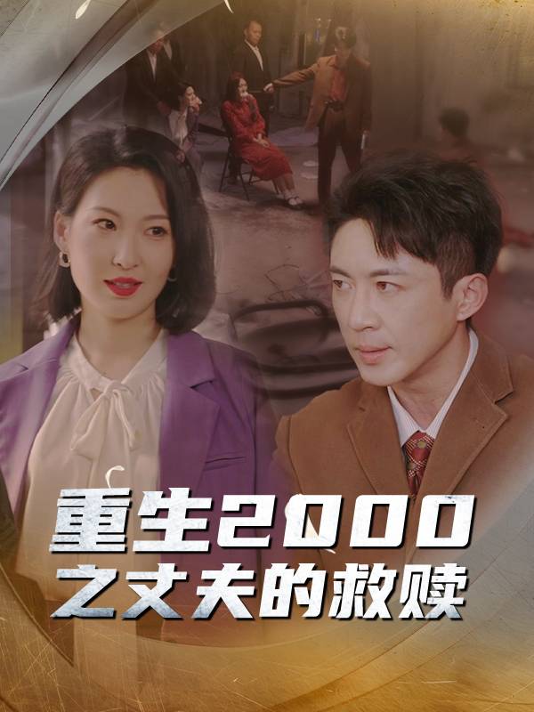 重生2000之丈夫的救赎封面