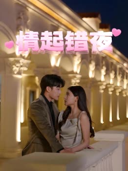 情起错夜封面