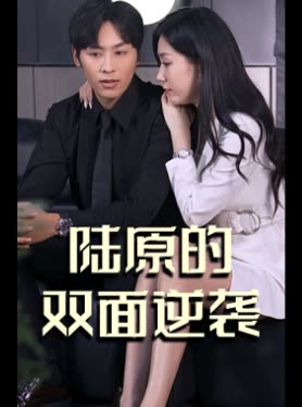 陆原的双面逆袭封面