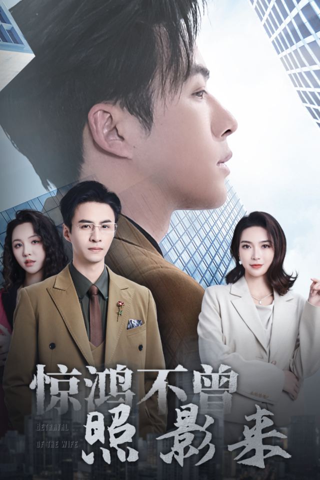 惊鸿不曾照影来封面