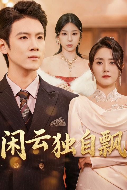 闲云独自飘封面