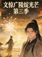 文惊广陵绽光芒 第三季封面