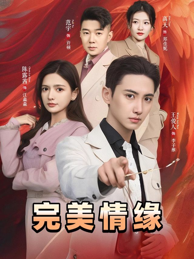 完美情缘封面