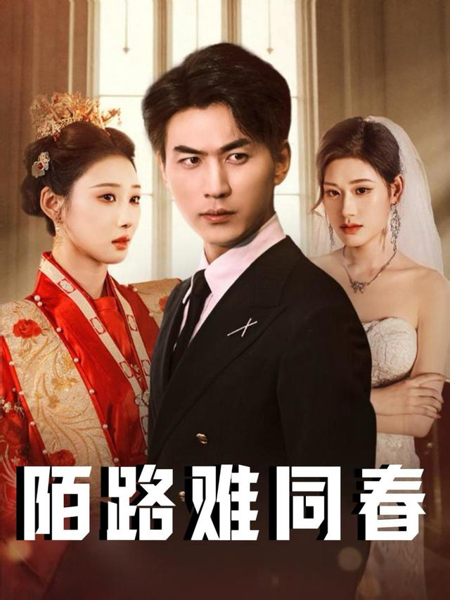陌路难同春封面
