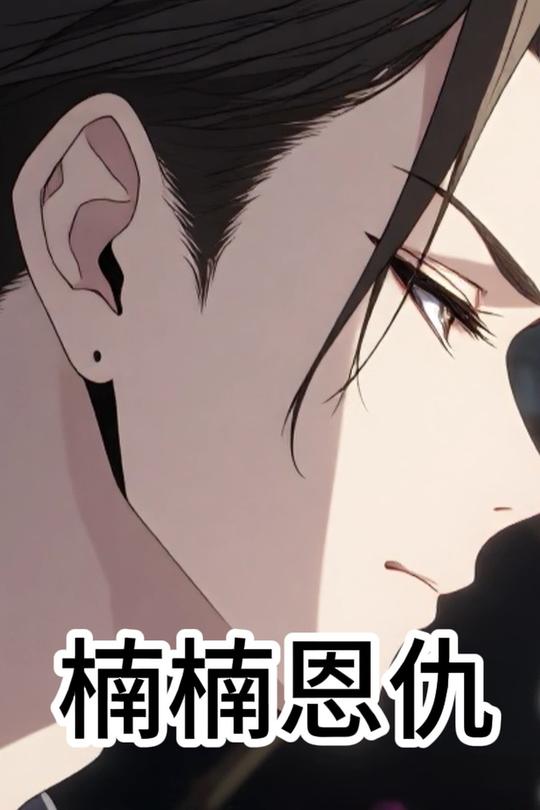 楠楠恩仇封面