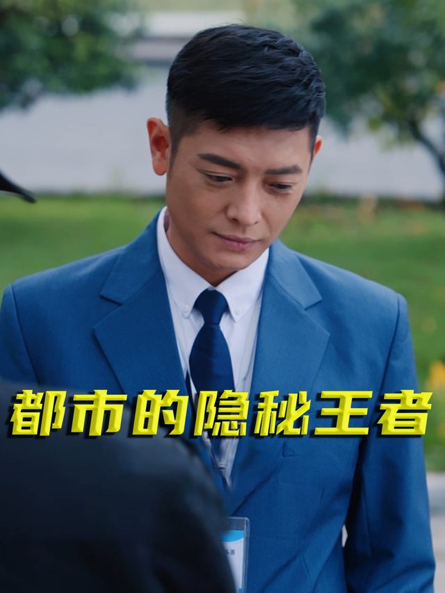 都市的隐秘王者封面