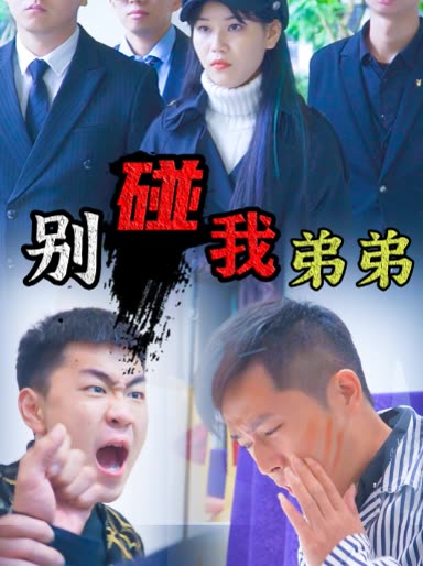 别碰我弟弟封面