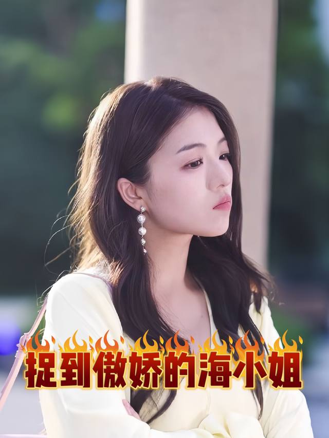 捉到傲娇的海小姐封面