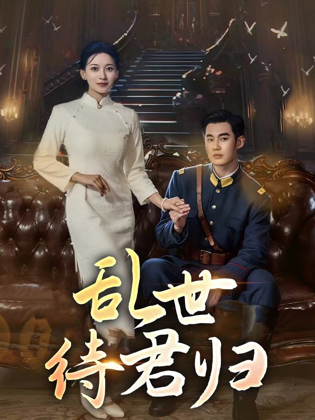 乱世待君归封面