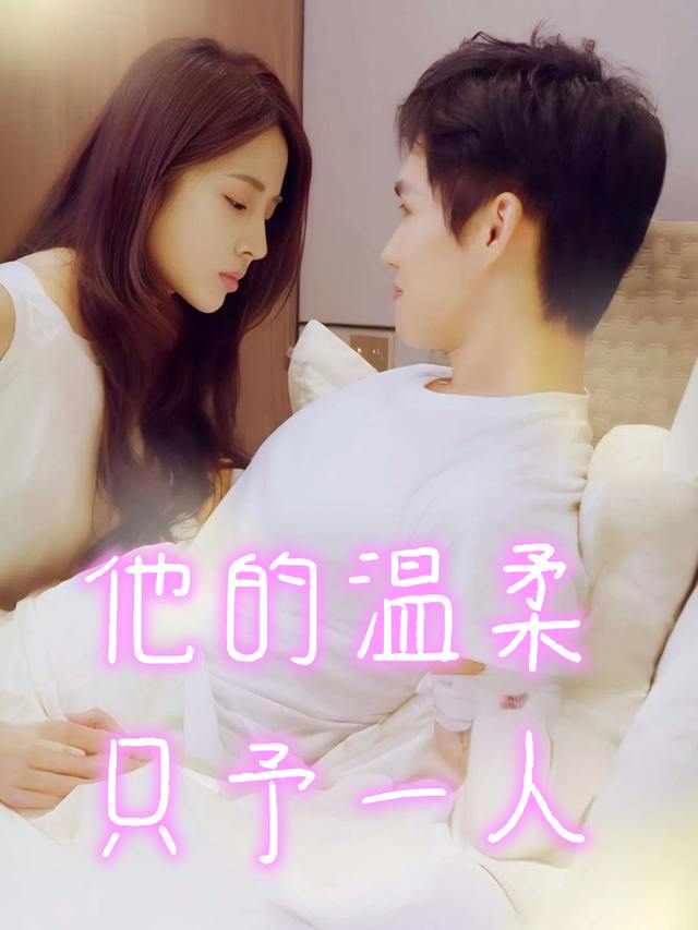 他的温柔只予一人封面