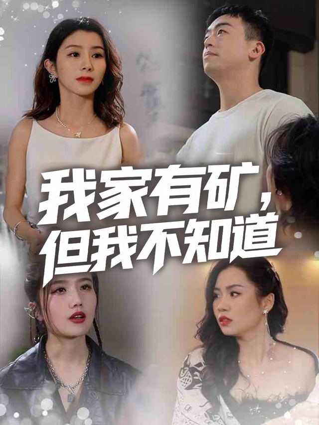 我家有矿，但我不知道封面