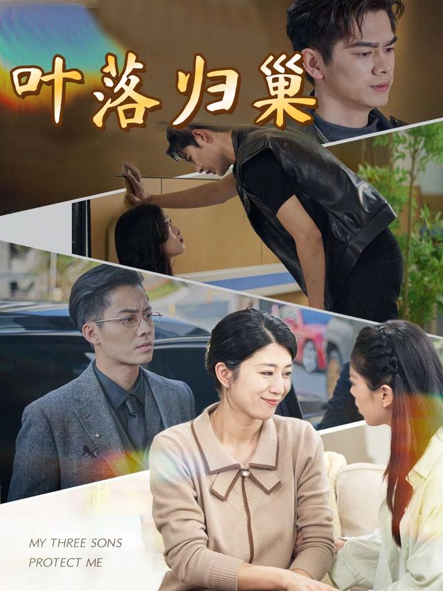 叶落归巢封面